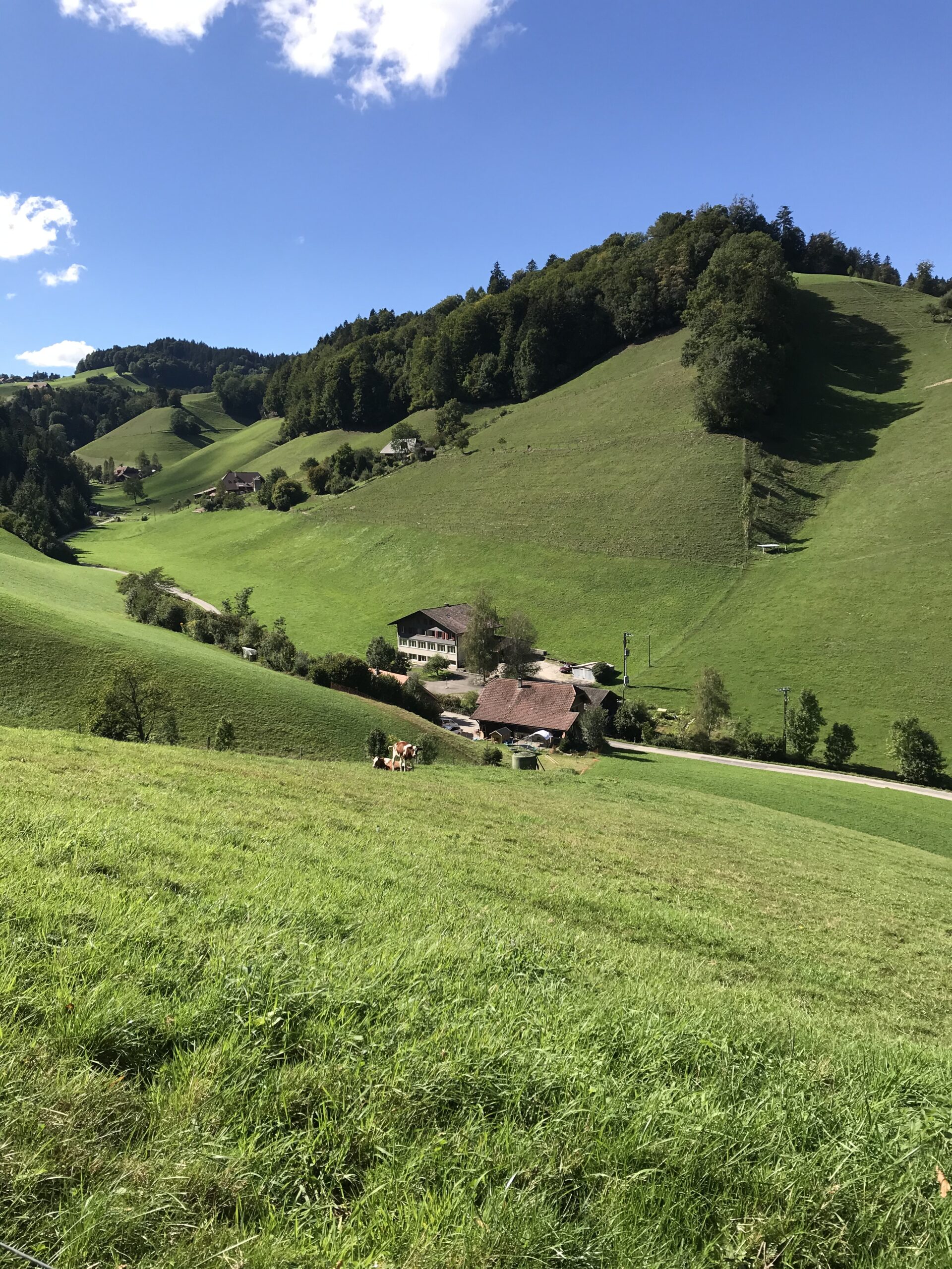 Jemand zum Reden - Coaching Gespräche Frank Präder im Emmental/Bern